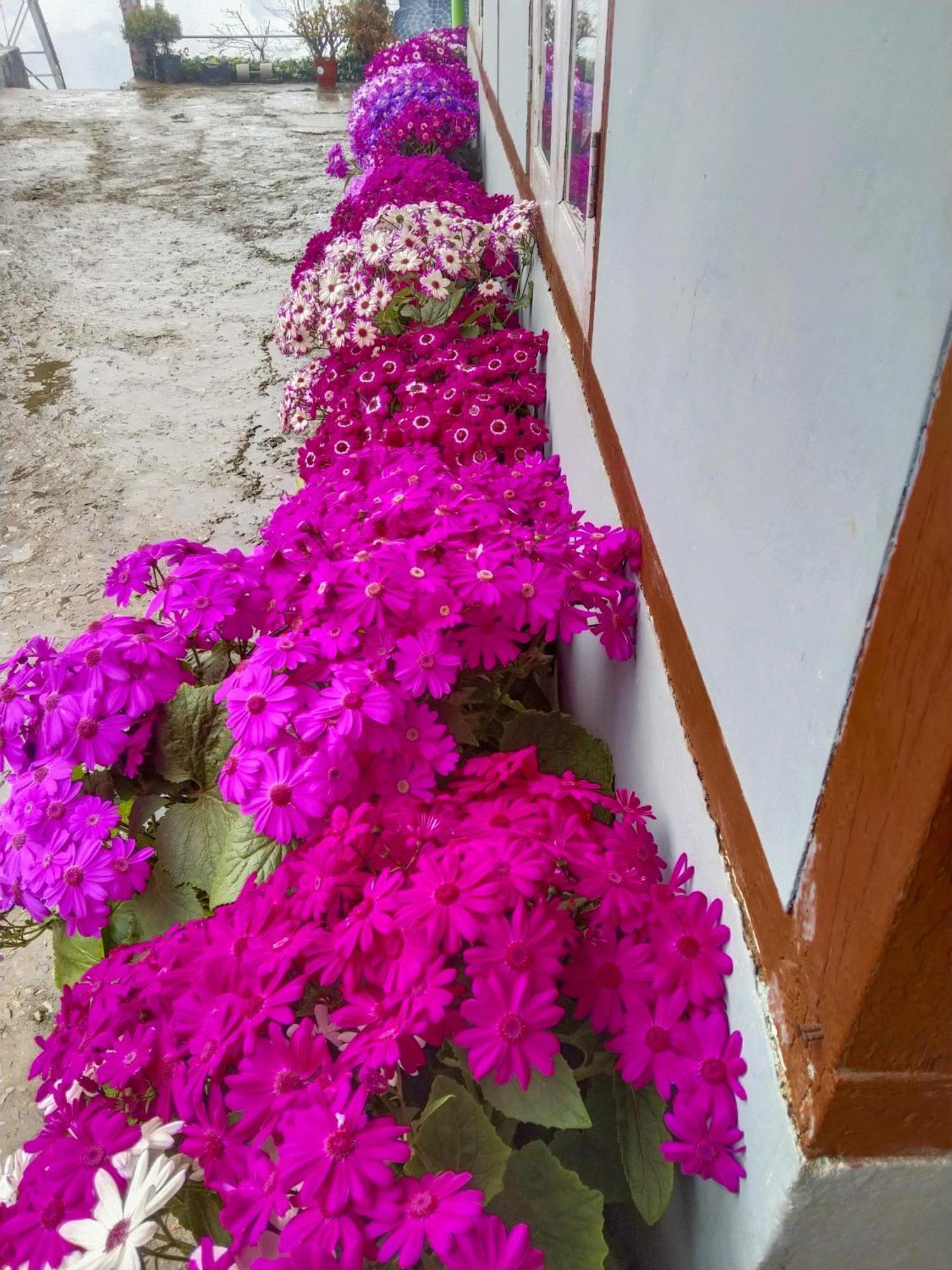 The Himalayan Resort Ravangla Bagian luar foto